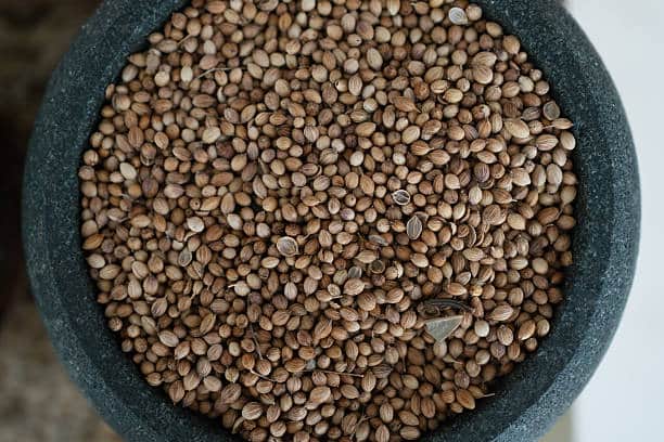 تصویر 3 از قیمت خرید تخم گشنیز مرغوب + فروش ویژه